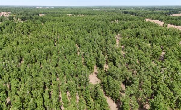 1762740278957848.jpg 6.jpg