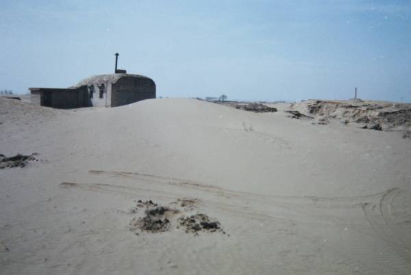 1762740295935111.jpg 5.jpg