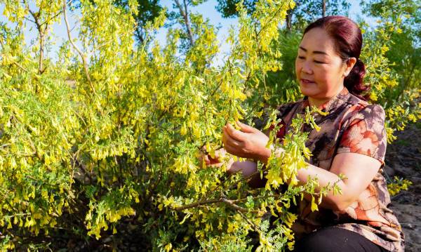 1762740306461977.jpg 4.jpg