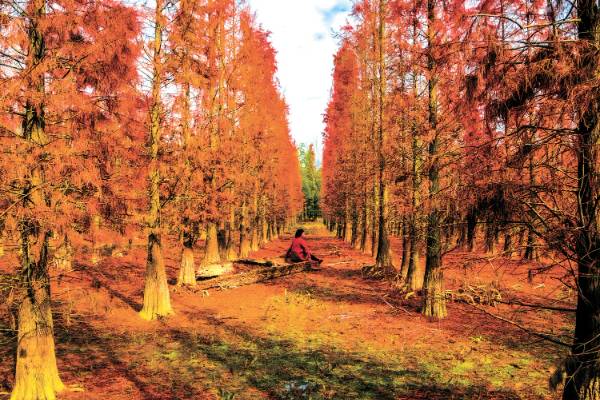 1762827229471108.jpg 1 (1).jpg