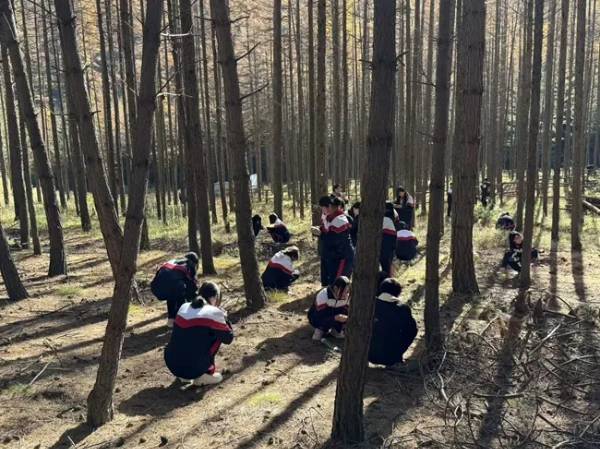 1762827678224089.jpg 2 (1).jpg