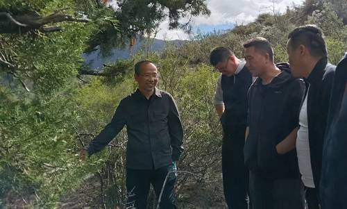 1762828034848848.jpg 4 (1).jpg