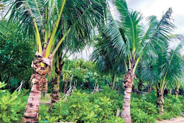 1762828113982856.jpg 5 (1).jpg