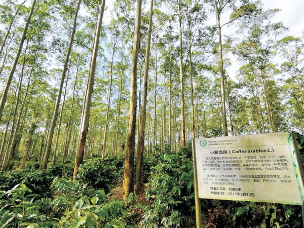 1762828125232669.jpg 6 (1).jpg