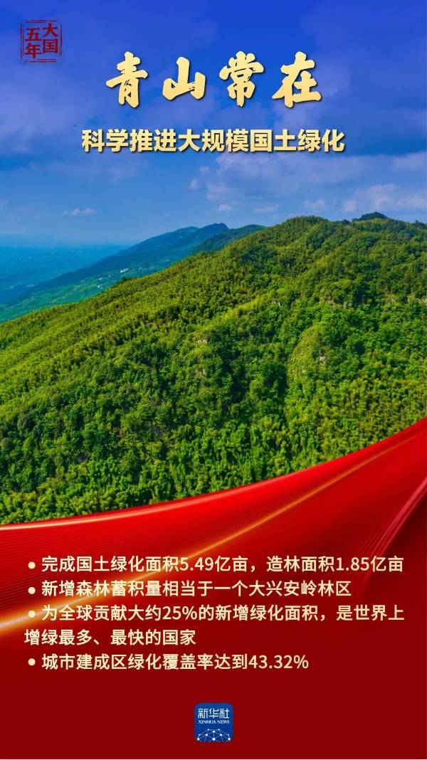 1762828414315291.jpg 1.jpg