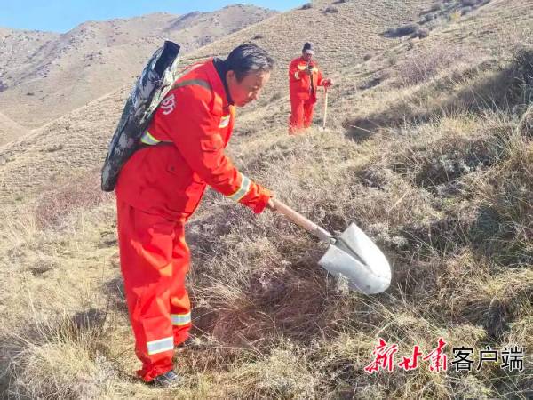 1762829348547006.jpg 1 (1).jpg