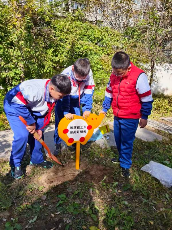 1762830145182034.jpg 2.jpg