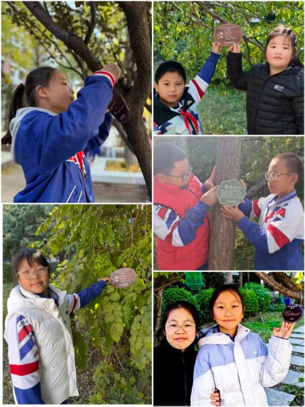 1762830148664178.jpg 3.jpg