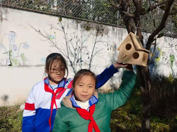 1762830152892868.jpg 4.jpg