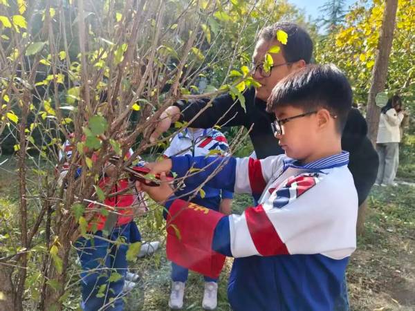 1762830165756696.jpg 5.jpg