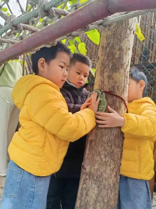 1762830193117502.jpg 9.jpg