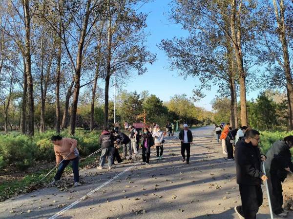 1762830201967020.jpg 10.jpg