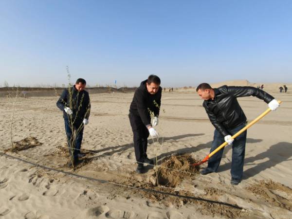 1762831474563197.jpg 1.jpg