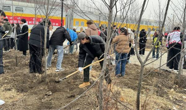 1762831722397289.jpg 3.jpg