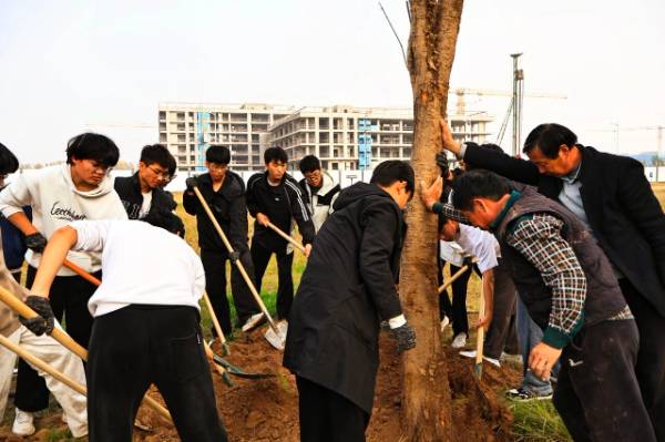 1762831775492239.jpg 5.jpg