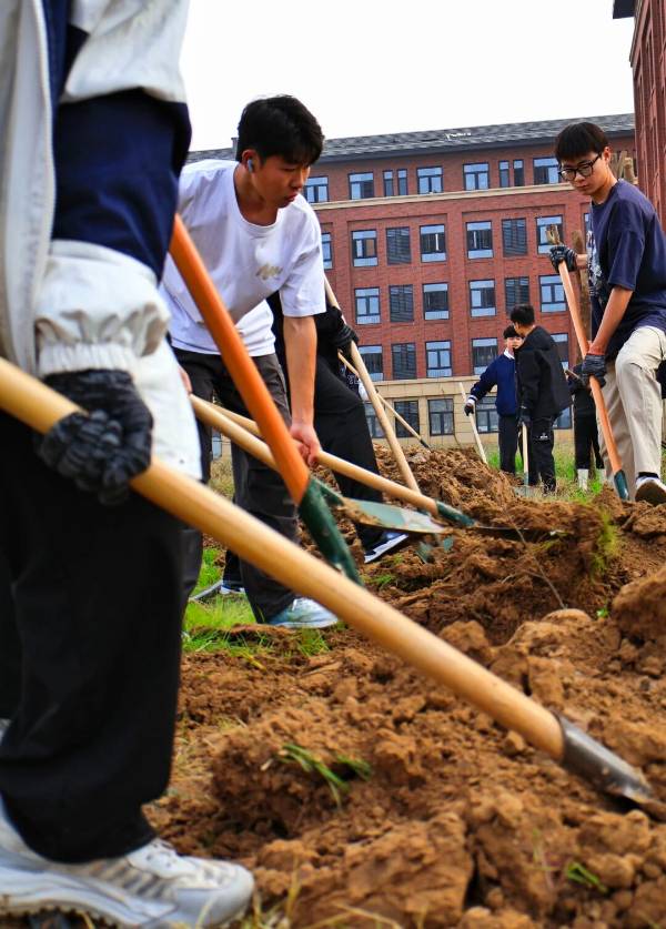 1762831811282255.jpg 7 (1).jpg