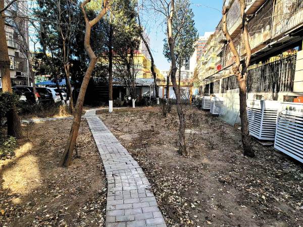 1762913818651946.jpg 2 (1).jpg