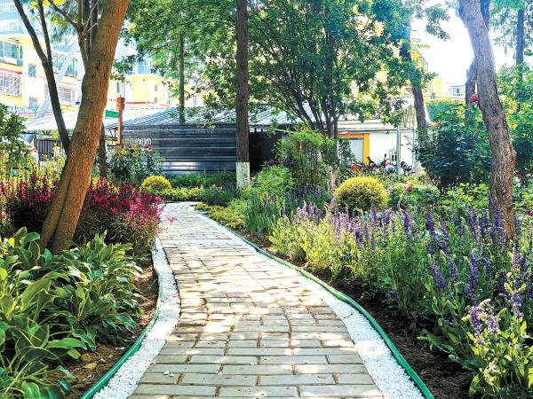 1762913829630483.jpg 3 (1).jpg