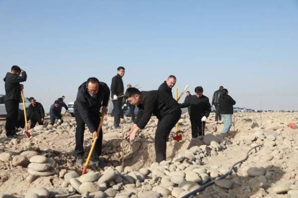 1762914962291135.jpg 1.jpg