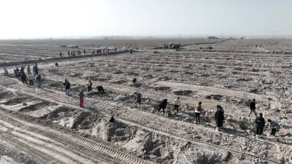 1762915107581068.jpg 3.jpg