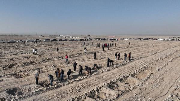 1762915118714084.jpg 4.jpg