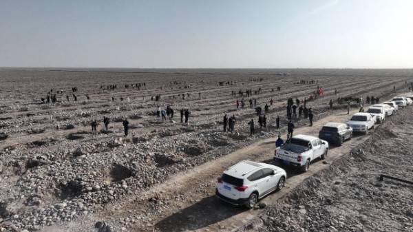 1762915128334420.jpg 5.jpg