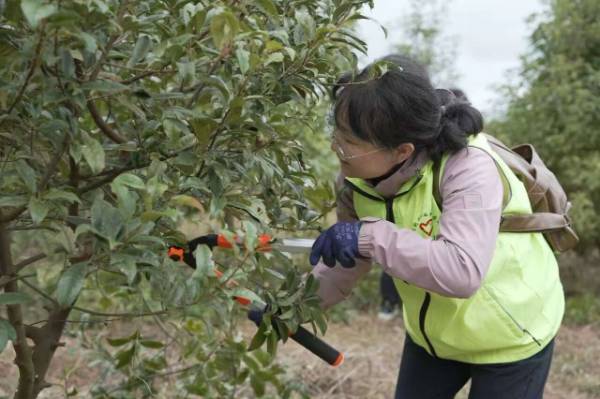 1762915492497967.jpg 11.jpg