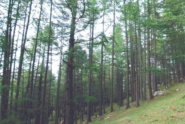 1763016874416651.jpg 2.jpg