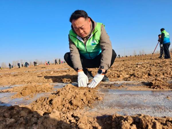 1763017341650524.jpg 11.jpg