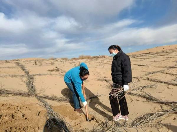 1763100856221286.jpg 2.jpg