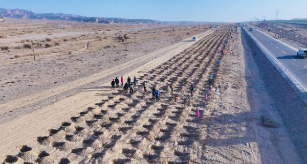 1763101490433210.jpg 10.jpg