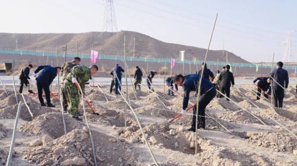 1763101501907202.jpg 11.jpg