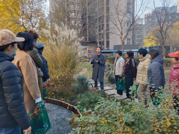 1763101640494426.jpg 13.jpg