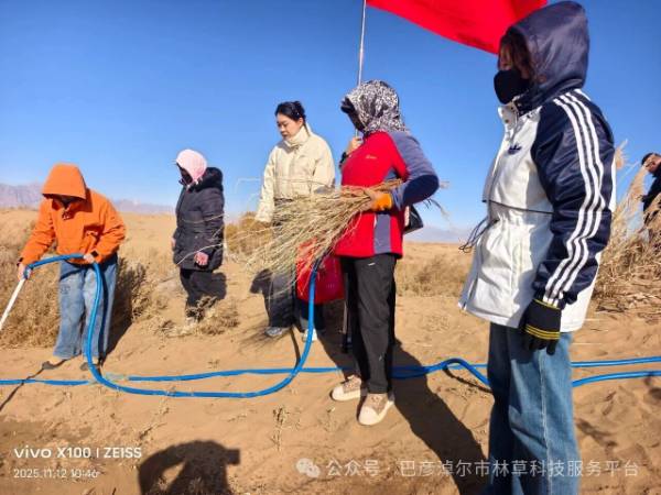 1763101811158836.jpg 17.jpg