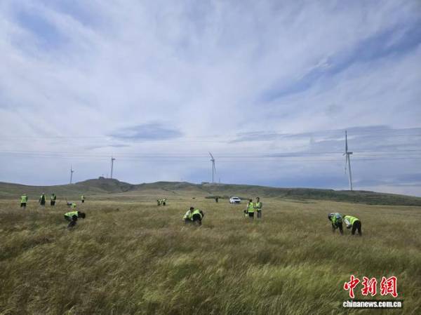 1763344128639923.jpg 2 (1).jpg