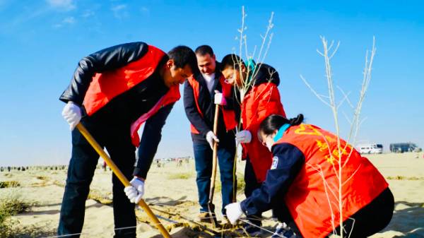 1763344443392428.jpg 3.jpg