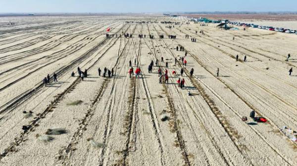 1763344481828531.jpg 7.jpg