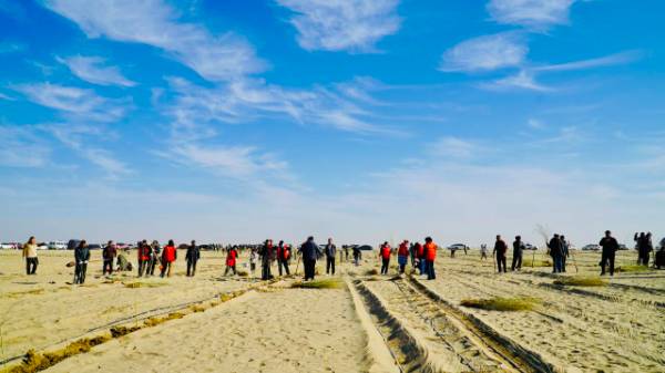 1763344491633643.jpg 8.jpg