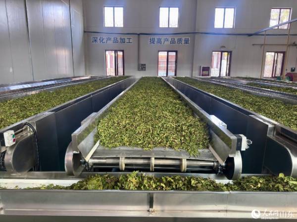 1763529319618893.jpg 11.jpg