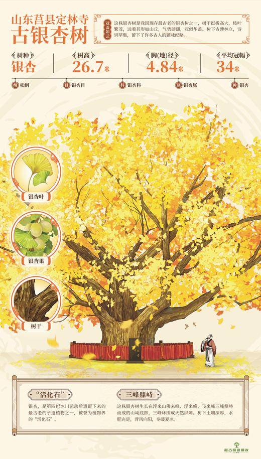 1763529480710854.jpg 13.jpg