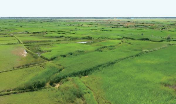 1763530156570455.png 9.png