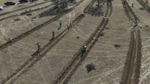 1763530249264903.jpeg 11.jpeg