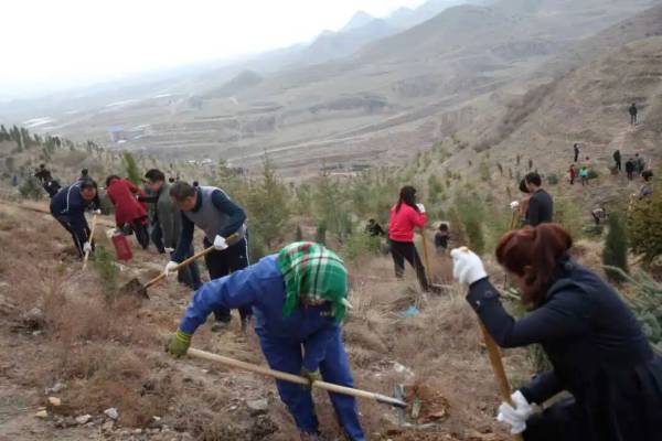 1763530422212591.png 14.png