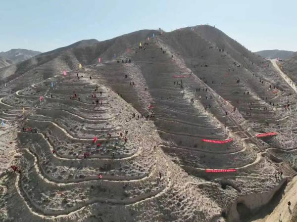 1763530429716579.png 15.png