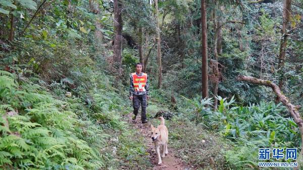 1763606372947016.jpg 4 (1).jpg