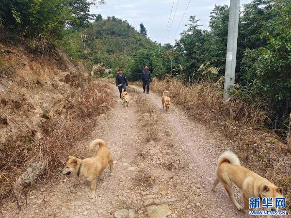 1763606385988862.jpg 3 (1).jpg