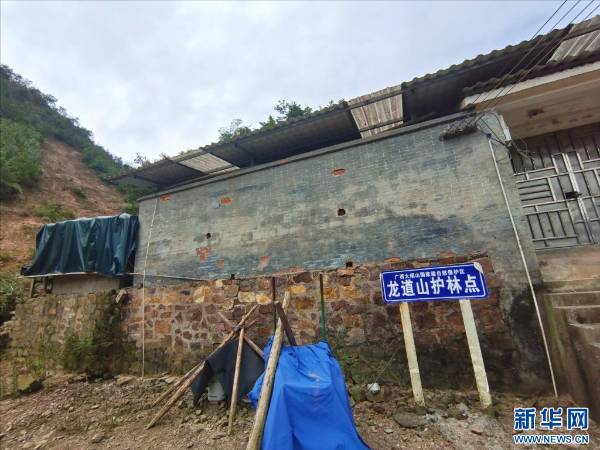 1763606395535034.jpg 2 (1).jpg