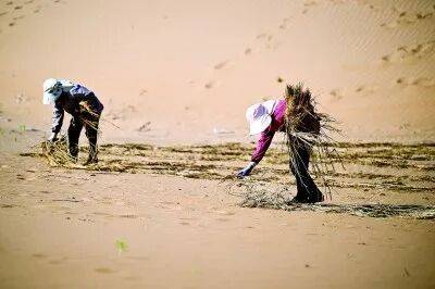 1763606848126216.jpg 1763606848126216.jpg