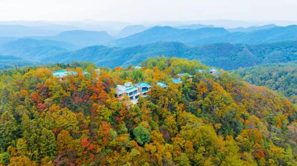 1763607157462649.png 6.png