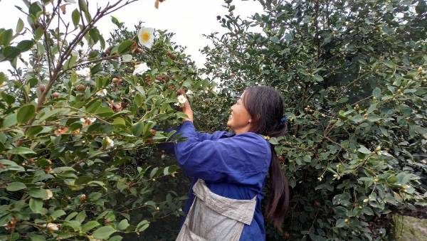 1763607168891265.png 7.png